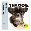 THE DOG 2026年 カレンダー 大判サイズ(チワワ)壁掛け ブックレット式 魚眼レンズ オリジナルシール付き 動物 いぬ イヌ 犬 壁掛 【THE DOG公式ストア】