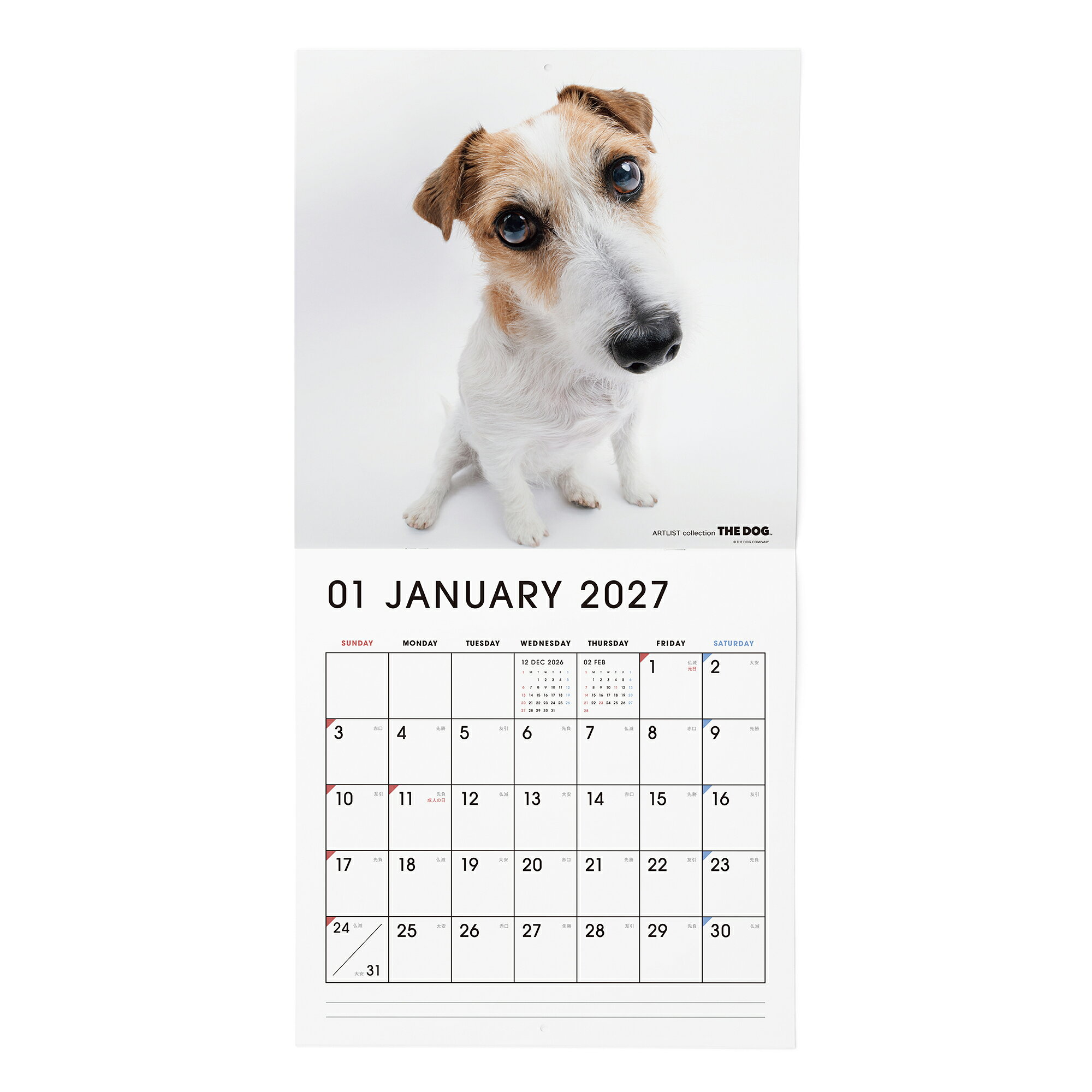 THE DOG 2027年 カレンダー 大判サイズ（ジャック・ラッセル・テリア)壁掛け ブックレット式 魚眼レンズ オリジナルシール付き 動物 いぬ イヌ 犬 壁掛 【THE DOG公式ストア】 (3)