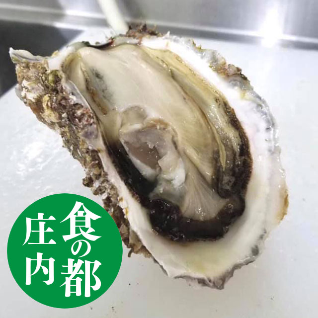 ŷ䥬