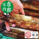 【ヤリイカ】1kg4～8杯 山形県庄内産 イカ　刺身【鮮魚 詰め合わせ】 【鮮魚セット 送料無料】 食の都庄内