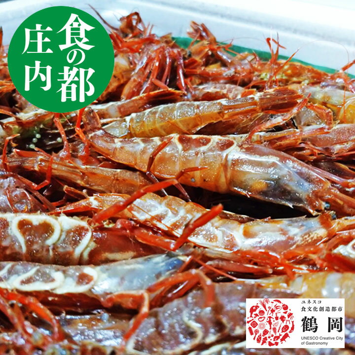 【ガサエビ 1kg】 50から100尾 冷蔵 刺身 山形県産天然 ドロエビ ガラエビ トゲクロザコエビ 海老 食の都庄内