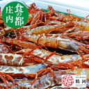  50から100尾 冷蔵 刺身 山形県産天然 ドロエビ ガラエビ トゲクロザコエビ 海老 食の都庄内