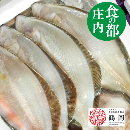 ミズガレイ 生冷蔵 1kg(4~8枚) 山形県庄内浜産 食の都庄内 ダイバガレイ かれい カレイ 手塚商店9/10 ミズガレイ 生冷蔵 1kg(4~8枚) 山形県庄内浜産 食の都庄内 ダイバガレイ かれい カレイ 手塚商店9/10