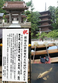 歯固め石お食い初め飾りセット