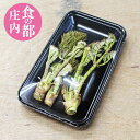 【山菜 タラの芽】50g(2〜6個前後) 山形県産 たらの芽...