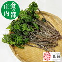 天然 山菜 赤こごみ 100g冷蔵 山形県庄内地方 赤コゴミ 春 山菜セット 佐徳