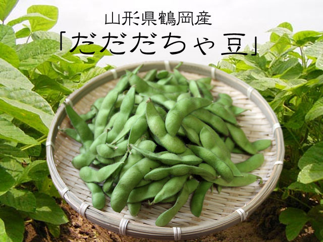 だだちゃ豆 1kg 送料無料 冷蔵 山形県産 だだ茶豆　枝豆　えだまめ 庄内 鶴岡市 ギフト 贈答 お中元【楽ギフ_のし】