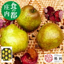 常温 ラフランス 2kg(4から7玉) 山形県産 送料無料 ギフト 洋梨 梨 洋ナシ 果物 西洋梨