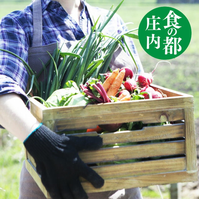 商品仕様 内容量 山形県庄内地方産おまかせ野菜セット6種 11月頃〜3月頃：常温発送 4月頃〜10月頃：冷蔵発送（クール） 大変人気があるため充分な在庫を確保はしておりますが、まんがいち、在庫がない場合は1週間くらいかかる場合があります。 返　品 ●返品を受け付ける条件 不良品は、商品ご到着後1週間以内にメールをいただいたもののみお受けいたします。 お客様のご都合による返品はお受けすることができませんので、予めご了承ください。 ●返品の送料・手数料の負担について 当社が負担いたします。 ●返金・交換について 返品商品到着確認後5日以内にご指定口座にお振込いたします。 当店の在庫状況を確認のうえ、新品または同等品と交換させていただきます。 ●返品連絡先 　電話番号：050-7515-8031 　メールアドレス：theflair@shop.rakuten.co.jp 　返送先住所：山形県鶴岡市稲生1-17-8-2 　担当者　　：笹原信次 配　送 ヤマト運輸又は佐川急便でお届けします。 （運送会社の選択はできません） 全商品、着日指定可能です。 時間指定もできます。 注文確定後（前払いは入金確認後）、3〜5営業日以内に発送いたします。万が一ご出荷が遅れる場合は　メールでご連絡致します。 休業日（土日祝）は発送できませんのでご了承ください。（詳しくはカレンダーを参照） ご注文後、自動受注メールを送信しております。 ご注文メールの届かない方へ 注文確認メールや問い合わせの返信が来ない場合 　当店では、ご注文後に「ご注文確認メール」を自動送信させていただいておりますが、メールアドレスの間違いや携帯電話でドメイン指定をされていない場合、迷惑メールの設定をしている等で、大事なメールが届かないケースが増えております。 　「ご注文確認メール」などが届かない場合、以下の考えられる理由をご確認ください。 ===考えられる理由=== ◆メールアドレスが間違っている場合 　ご注文後に「ご注文確認メール」をもれなく自動配信しておりますが、ご登録メールアドレスが間違っている場合届きません。送信前に、もう一度ご記入されたメールアドレスをご確認ください。 ◆メールソフトで迷惑メール設定をされている場合 　お客様のメールソフトの設定で、迷惑メールとして扱われている可能性もありますので、迷惑メールフォルダへの受信メールもご確認いただけますようお願いいたします。 ◆携帯メールアドレス登録でドメイン指定をされていない場合など 　携帯電話のメールアドレスをご登録で、迷惑メール対策などでドメイン指定をされていない場合、当店からのメールが届かない場合があります庄内 野菜セット 6品 送料無料 おまかせ　山形県庄内産 野菜詰め合わせ 新鮮 地物野菜 山形県庄内地方の清い水やみずみずしい空気に太陽の恵みをいっぱいにうけた野菜たちを産地直送！ 山形の夏は意外と厳しぐで、冬は寒いなさ夏は暑くで、全国的に有名なだだちゃ豆を筆頭に、その厳しい気候の中で育まれる庄内野菜は絶品です！ 季節の野菜例 【春】 キャベツ、ふき、絹さや、ごぼう、小松菜、チンゲン菜、なす、ミニトマト、トマト、とうもろこし、いんげん、にんにく、たまねぎ 【夏】 枝豆、ししとう、ゴーヤ、おくら、人参、ごぼう、キャベツ、なす、ピーマン、たまねぎ、きゅうり 、トマト 【秋】 御立派ホウレンソウ さつま芋、里芋、小松菜、キャベツ、チンゲン菜、なす、トマト、ドライトマト、ピーマン、いんげん、絹さや 【冬】 御立派ホウレンソウ 赤かぶ、大根、ネギ、人参、小松菜、キャベツ、ほうれん草、カリフラワー、ブロッコリー、トマト、しいたけ 内容につきましては、旬の野菜を厳選しお届けさせて頂きますのでおまかせになります。 ご希望の野菜指定については対応致しかねますのでご容赦ください。 離島へのお届けは不可とさせて頂きます。 内容 山形県庄内地方産おまかせ野菜セット6種 11月頃〜3月頃：常温発送 4月頃〜10月頃：冷蔵発送（クール） 庄内地方の農業は、古くから東北随一の霊山として多くの信仰を集めていた出羽三山（湯殿山・月山・羽黒山）の中心とした山岳信仰と深く結びついています。 「山の神」は春になると「田の神」として恵みをもたらすと考えられ、農業の安全と五穀豊穣は自然への感謝と祈りを捧げるお祭りは、現在も各地域で受け継がれています。また多種多様な庄内の野菜の中には、全国から集まる参拝者によって運ばれて来た野菜や穀物の種があるとも言われています。 ●一部、庄内野菜の紹介 ごりっぱという名前にとってもふさわしく、でっけ〜葉が特徴のほうれん草でがんす。 大きいもので60センチを越える大きさの理由は植酸有機栽培という特殊な農法でつぐってあんやの〜。 　植物が必要とする最低限の栄養分だけを与えで、この大きさに育つあんよ！ 大きな葉に反して味わい深く、ほうれんそう独自の味わいとジューシーでみずみずしい食感と、さわやかな甘さを持つなやんの〜。 しかも、生で食べることもできるめずらしいほうれん草だんけよ！