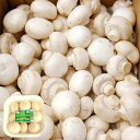 舟形マッシュルーム 1パック ホワイト ギフト山形県産 きのこ キノコ つけもの 食物繊維が豊富