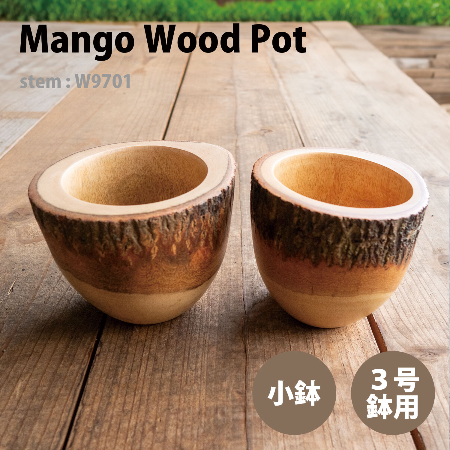 木製鉢 マンゴーウッドポット Mango Wood Pot W9701 懸崖3号鉢用 敬老の日 観葉植物 多肉植物 塊根植物