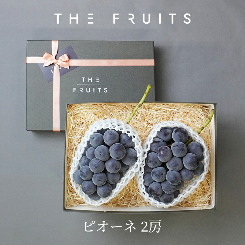 【敬老の日に】THE FRUITS ピオーネ 岡山県産 種無し 2房 等級赤秀 以上 大粒（8房級） 以上 出産祝い 内祝い お返し 贈答品 出産内祝い 内祝 入学内祝い 引き出物 快気祝い 結婚祝い 結婚内祝い 引出物 かわいい 高級 ギフト お祝いグルメ フルーツ 果物 葡萄 ブドウのサムネイル