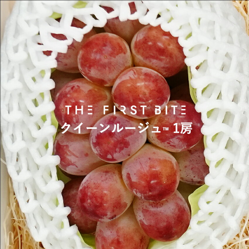 THE FIRST BITE 長野県産 クイーンルージュ™ 等級 秀 中房（500g前後）以上 出産祝い 内祝い お返し 贈答品 出産内祝い 快気祝い 結婚祝い 結婚内祝い 高級 フルーツ 果物 ブドウ 葡萄 シャインマスカット クイーンルージュ クィーンルージュ 希少のサムネイル