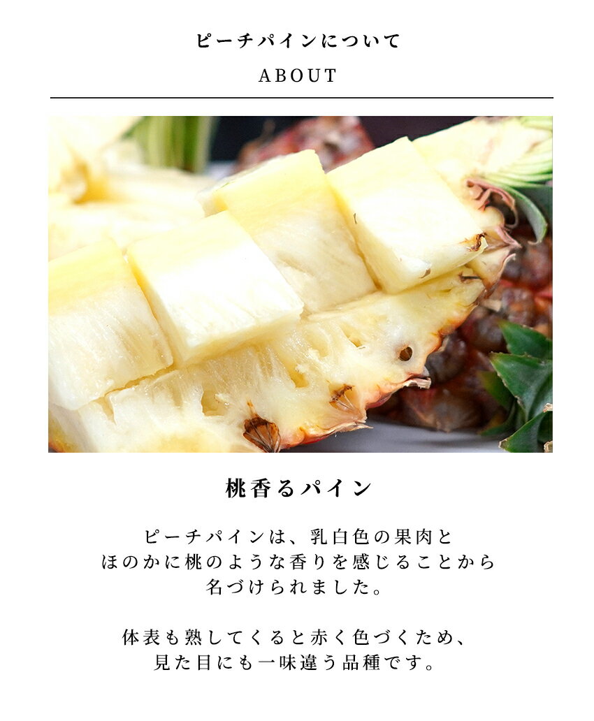 ��Ǽ������ġ�THE FRUITS PEACH PINE ���츩�� �ԡ����ѥ��� 1�� �л��ˤ� ��ˤ� ���֤� ��� �ѥ��� £���� �ѥ��ʥåץ� ���ե� £���� �л���ˤ� ��� �����ˤ� �뺧�ˤ� �뺧��ˤ� �涡 ������ �ե롼�� ��ʪ ����ʪ ������ ����� �ץ쥼���