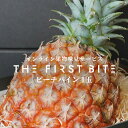 THE FIRST BITE 沖縄県産 ピーチパイン 1個 出産祝い 内祝い お返し 高級 パイン 贈答用 パイナップル ギフト 贈答品 出産内祝い 内祝 快気...