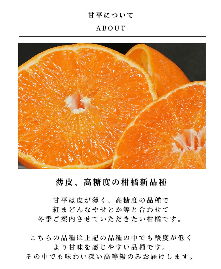 ��2���ܽв�ͽ���THE FRUITS ��ɲ���� ���� ��ʿ 6�� ���� �Ľ� ����̡�2L�� �ʾ� ��� ��ˤ� ���֤� �л���ˤ� ��� �����ˤ� �뺧��ˤ� ���渵 ���渵 ������ �涡 ���ե� ����ڤ� ��ʿ �ե롼�� ��ʪ ���� ���� �Х�󥿥��� ̪�� �ߤ��� £���� £����