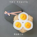 【 暑中見舞い に 】THE FRUITS GOLDEN PEACH 黄金桃 長野 福島県 3玉 高等級 中大玉(18玉級)以上 産祝い 内祝い お返し 出産内祝い 内祝 引き出物 快気祝い 結婚祝い 結婚内祝い 御中元 お中元 お供え 御供 帰省暮 ギフト フルーツ 高級 果物 もも 桃 黄金桃 高級 贈答用