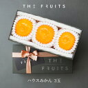 【父の日に】THE FRUITS ハウスみかん 3玉 和歌山県産 愛知県産 愛媛県産 みかん ゆら早生 早生 南柑 青島 等級 赤秀 サイズ S前後 内祝 高級 最高級 ギフト 贈答品 出産内祝い 内祝い みかん箱 快気祝い 結婚祝い 結婚内祝い 贈答品 贈答用 蜜柑 果物 バレンタイン