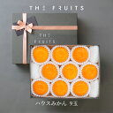 【お中元に】【納期指定可】THE FRUITS ハウスみかん 9玉 和歌山県産 愛知県産 愛媛県産 等級赤秀 サイズS前後 出産祝い 内祝い お返し 贈答品 出産内祝い 内祝 入学内祝い 結婚祝い 高級 ギフト フルーツ 果物 みかん 蜜柑 柑橘 お中元 御中元 希少 柑橘