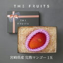 THE FRUITS 宮崎県産 完熟マンゴー MIYAZAKI MANGO 等級赤秀 2L 以上 マンゴー 出産祝い 内祝い お返し 贈答品 出産内祝い 内祝い...