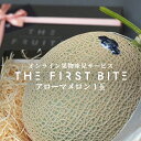 THE FIRST BITE アローマメロン 静岡県産 等級白 以上 1.3kg以上 高級 メロン 1玉 箱 国産 内祝い マスクメロン 贈り物 プレゼント 贈...