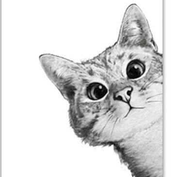 絵画 猫 cat モダンアート パネル アート 絵 額付き イラスト ペインティング キャンバス 壁掛け モノトーン ブラック ファブリック インテリア 風水 印象派 背景 おしゃれ 人気 おすすめ 北欧 西海岸 LAスタイル ハリウッド 玄関 エントランス