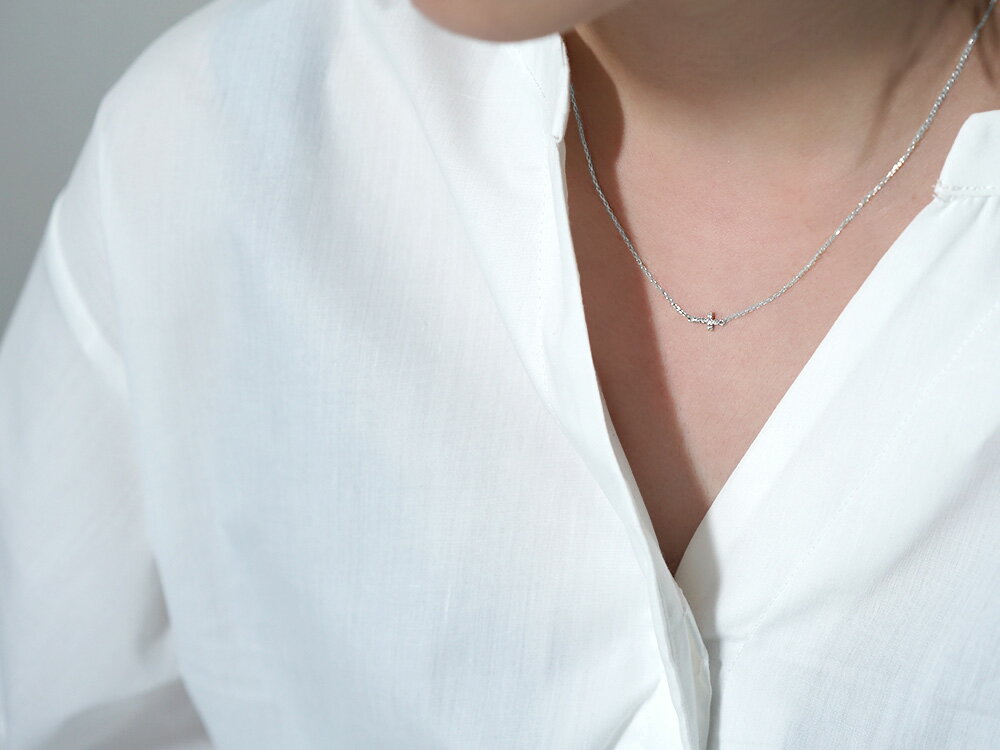 �ͥå��쥹 �ץ���� Pt ��ǥ����� ������ ���奨�꡼ ���������꡼ ���ե� �ץ쥼��� ����� ���������� �ڥ����� ����ץ� ��°����륮�� �͵� ������ �� Pt �٥��ӡ� ������ ��������� �ͥå��쥹