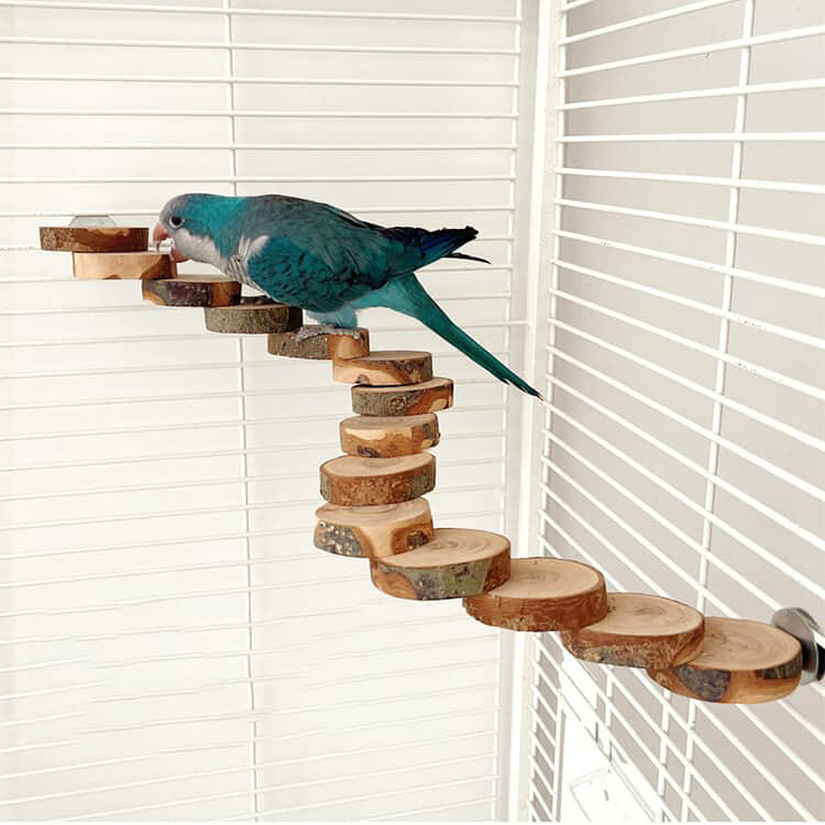 DAILY STOCK楽天市場店の2個セット 文鳥 天然木 木製 止まり木 バードステップ インコ ケージ用 止まり台 小鳥用 階段 オウム 小鳥用品 自由に曲げられる 木製ステップ ケージレイアウト 固定簡単｜アングル2