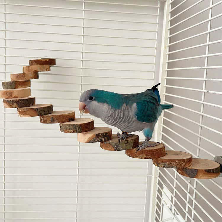 DAILY STOCK楽天市場店の2個セット 文鳥 天然木 木製 止まり木 バードステップ インコ ケージ用 止まり台 小鳥用 階段 オウム 小鳥用品 自由に曲げられる 木製ステップ ケージレイアウト 固定簡単｜アングル3