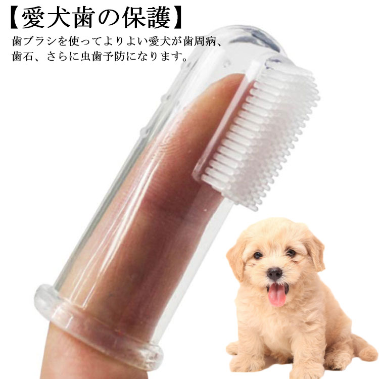 ✔1.【柔らかい素材】柔らかいシリコンを採用して安全で健康で、ペットの歯ぐきを傷つけません。✔2.【特徴】犬の歯ブラシは片側に小さなバンプです、片側は非常に柔らかい、小さな柔らかいストリップです。歯をマッサージしキレイになる効果があります。✔3.【愛犬歯の保護】歯ブラシを使ってよりよい愛犬が歯周病、歯石、さらに虫歯予防になります。✔4.【デンタルケア】マッサージは歯が生える間に歯茎をなだめるのに役立ちし、口臭や歯周病の原因である汚れやプラークをかき出し、お口を清潔に保ちます。犬はもちろん、猫、小中型ペット等にも使えます。 サイズ フリー サイズについての説明 5.5cm 素材 シリコン 色 透明 備考 ●サイズ詳細等の測り方はスタッフ間で統一、徹底はしておりますが、実寸は商品によって若干の誤差(1cm～3cm )がある場合がございますので、予めご了承ください。 ●製造ロットにより、細部形状の違いや、同色でも色味に多少の誤差が生じます。 ●パッケージは改良のため予告なく仕様を変更する場合があります。 ▼商品の色は、撮影時の光や、お客様のモニターの色具合などにより、実際の商品と異なる場合がございます。あらかじめ、ご了承ください。 ▼生地の特性上、やや匂いが強く感じられるものもございます。数日のご使用や陰干しなどで気になる匂いはほとんど感じられなくなります。 ▼同じ商品でも生産時期により形やサイズ、カラーに多少の誤差が生じる場合もございます。 ▼他店舗でも在庫を共有して販売をしている為、受注後欠品となる場合もございます。予め、ご了承お願い申し上げます。 ▼出荷前に全て検品を行っておりますが、万が一商品に不具合があった場合は、お問い合わせフォームまたはメールよりご連絡頂けます様お願い申し上げます。速やかに対応致しますのでご安心ください。
