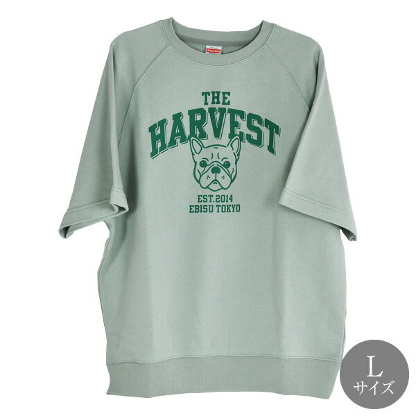 THE HARVEST㤨HARVEST å ϡե꡼ å åɥ꡼ L¥ ե ʥ  ץ쥼ȡåꥸʥ ե ץ եȡפβǤʤ7,260ߤˤʤޤ