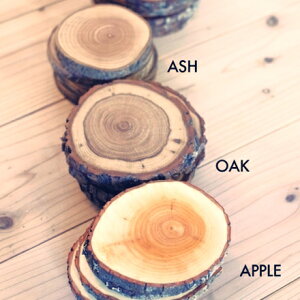 木製 WOOD コースター APPLE アップル りんごの木