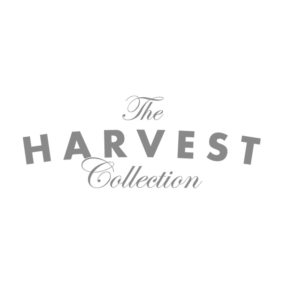 Shop icon