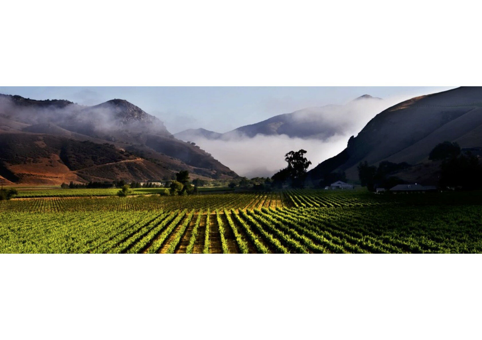 【楽天スーパーセール】オー ボン クリマ “イザベル” ピノノワール 2021 750ml アメリカ カリフォルニア 赤ワイン Au Bon Climat, ‘Isabelle’ Pinot Noir 2021