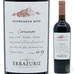 エラスリス アコンカグア アルト カルメネール 2019 750ml チリ アコンカグア フルボディ 赤ワイン Errazuriz Aconcagua Alto Carmenere 2019