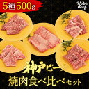 牛肉 和牛 焼き肉 神戸ビーフ 食べ比べセット 500g（100g×5種）国産 希少 焼肉用 通販 お取り寄せ グルメ 誕生日