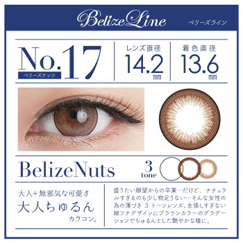 【今月限定価格】ナチュラルカラコン1ヵ月【メール便送料無料】アイラボマンスリーナチュラルラインブリュムラインカラーコンタクト(3トーン/1枚入/1カ月使い捨て)ナチュラルマンスリーカラコン1ヶ月度なし度ありちゅるん(±0.00〜-5.00)