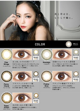 カラコン 1ヶ月 ReVIA レヴィア ワンマンス カラー 度なし 1箱2枚 【メール便送料無料】( 安室奈美恵 DIA14.1mm ブラウン ブラック グレー ナチュラル ハーフ)