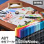 ̵ۥȥܱɮ ǥ奢֥åڥ ABT 108  AB-T108CBULK / ޡ ǥ奢֥å 顼ɮڥ Tombow AB-T Dual Brush Pen Art Markers