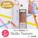 名入れ 鉛筆 トンボ鉛筆 ハローネイチャー ギフト用鉛筆セット 鉛筆 かきかたえんぴつ 12本 ラッピングセット 金箔 2B MP-KHN2-2B