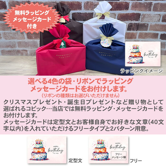 【ラッピング・メッセージカード無料】【送料無料】コピック コピックスケッチ ベーシック72色セット/スケッチ ベーシック 72色 ベーシック72色 セット