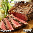 肉・セット 【送料無料】超！厚切り！1ポンドステーキ 3枚セット+スパイスのおまけ付き ニュージーランド産 抗生物質・ホルモン剤不使用 グラスフェッドビーフ 牧草牛 リブアイ リブロース ステーキ肉 牛肉 ブロック肉 キャンプ BBQ アウトドア ギフト -SET054