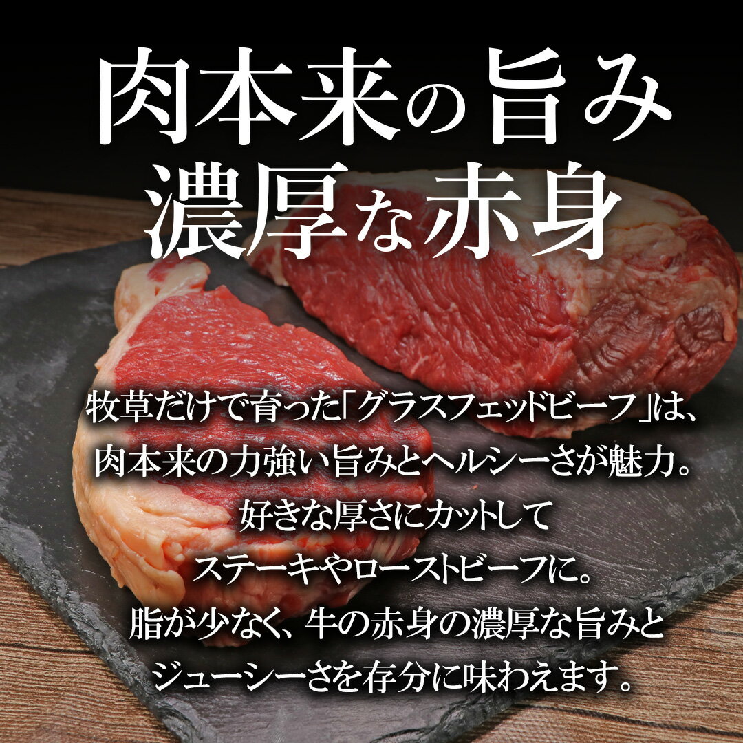 ������̵���ۥ��������󥹥ơ��� ���ơ����� �ֿ� ���������� �֥��å� �������ȥӡ��դ���ڤꥹ�ơ��� �� �����Ǿ������� �ֿ� ������ ���渵 ����� ���饹�ե��åɥӡ��� ������� �����֥��å� ���䲰�㻨��Ǻܾ��ʢ���¢�� �С��٥��塼 BBQ-B101