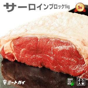 バーベキュー｜サーロインのブロック肉！炭火で焼きたいステーキ肉はどれ？