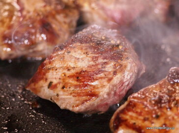 【あす楽】牛ヒレ肉の切り落とし 500g/訳あり牛肉フィレ(テンダーロイン)切り落とし/わけあり ヒレ肉☆ グラスフェッドビーフ(牧草飼育牛肉・牧草肉)-B105a
