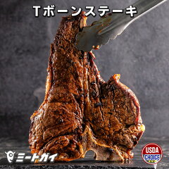 https://thumbnail.image.rakuten.co.jp/@0_mall/themeatguy/cabinet/02129938/usb450r.jpg