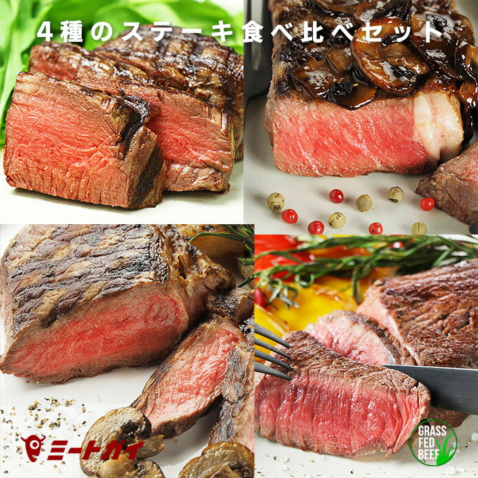 ステーキ ステーキ肉4種のステーキ食べ比べセット スパイスのおまけ付き 牛肉 送料無料 赤身 が美味しい グラスフェッドビーフ 牧草牛 サーロイン リブロース ランプ ヒレ -SET073