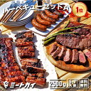 バーベキューセットA 合計約2.5kg！！究極のバーベキュー肉（洋風焼肉セット・BBQセット）≪雑誌掲載商品・テレビ紹介お取り寄せグルメ≫お得さ福袋級！-SET100