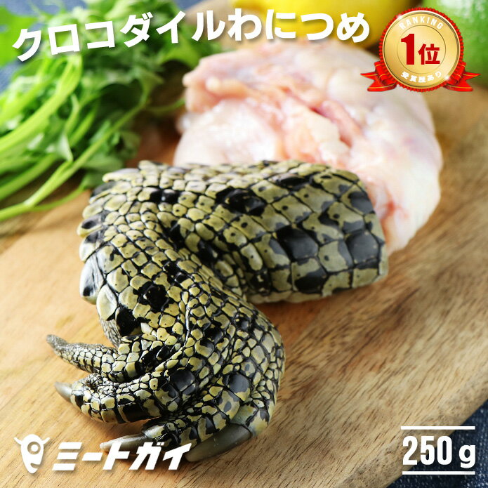 【半額SALE＆エントリー・買い回りでポイント最大12倍】 総重量1,720g お肉5種 バラエティセット 肉 豚肉 鶏肉 ハンバーグ 5種 大容量 肉 福袋 切り落とし 豚ミンチ 国産 豚 ミンチ 若鶏 モモ肉 むね肉 デミグラス 《5月中旬頃〜5月下旬頃出荷予定》