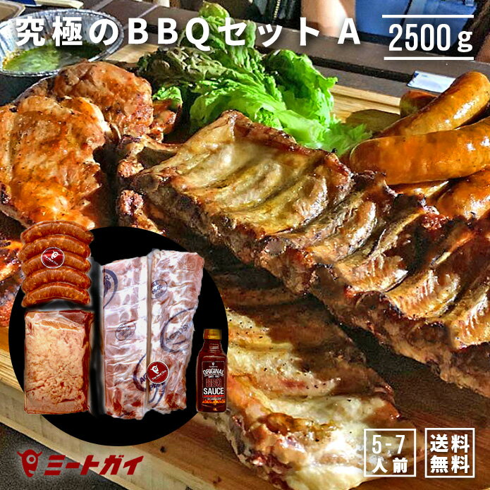 バーベキューセットA 合計約2.5kg！ BBQ 食材 究極のバーベキュー肉（洋風焼肉セット・BBQセット） 焼肉 送料無料 自宅で楽しめる！≪雑誌掲載商品・テレビ紹介お取り寄せグルメ≫お得さ福袋級！-SET100